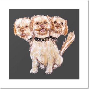 Cerberus the Shih Tzu of "Aphrodite's Love Myths" Posters and Art